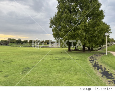 高岡おとぎの森公園(10月上旬) ※富山県 高岡市 高岡おとぎの森公園(10月上旬) ※富山県 高岡市 132486127