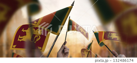 Sri Lanka flags in their hands on a blurred urban background Sri Lanka flags in their hands on a blurred urban background 132486174