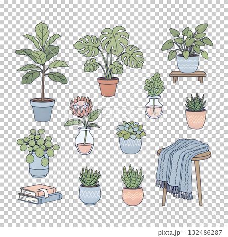 Set of different tropical house plant. Ficus, monstera, protea, pellaea, succulent in various pot, vase. Scandinavian cozy home decor. illustration design. Set of different tropical house plant. Ficus, monstera, protea, pellaea, succulent in various pot, vase. Scandinavian cozy home decor. illustration design. 132486287