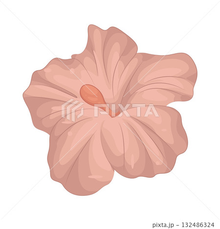 Illustration of hibiscus flower Illustration of hibiscus flower 132486324
