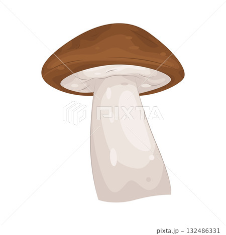 Illustration of mushroom  132486331