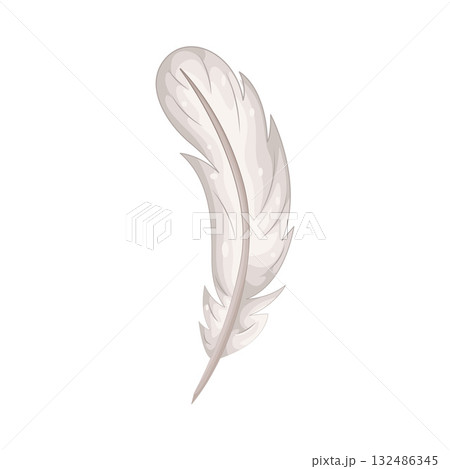 Illustration of feather  132486345
