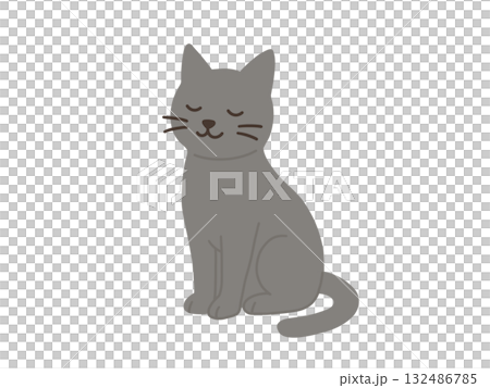 一隻面向前方坐著的灰貓的插圖 132486785