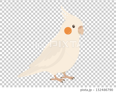 かわいいオカメインコのイラスト 132486790