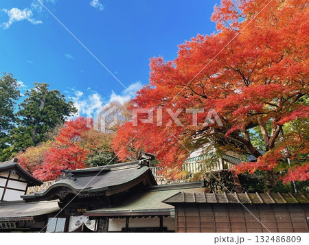 高尾山薬王院 秋の紅葉風景 高尾山薬王院 秋の紅葉風景 132486809