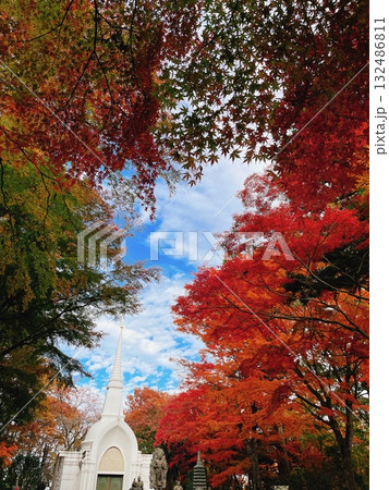 高尾山薬王院 仏舎利塔 秋の紅葉風景 132486811