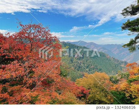 高尾山 秋の紅葉風景 高尾山 秋の紅葉風景 132486816