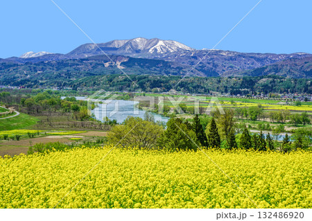 菜の花公園（飯山市）からの眺め 132486920