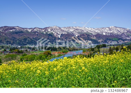 菜の花公園（飯山市）からの眺め 132486967