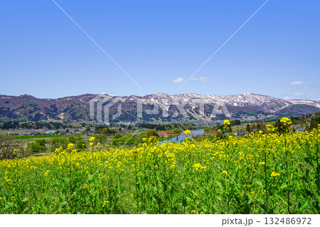 菜の花公園（飯山市）からの眺め 132486972