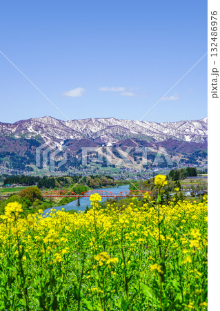 菜の花公園（飯山市）からの眺め 132486976