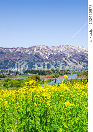 菜の花公園(飯山市)からの眺め 菜の花公園(飯山市)からの眺め 132486978