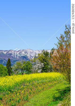 菜の花公園（飯山市）からの眺め 132486992