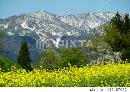 菜の花公園（飯山市）からの眺め 132487021