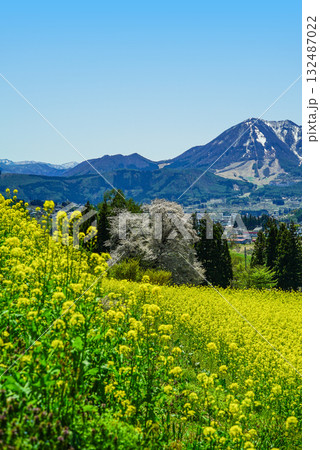 菜の花公園（飯山市）からの眺め 132487022