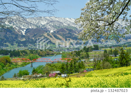 菜の花公園(飯山市)からの眺め 菜の花公園(飯山市)からの眺め 132487023