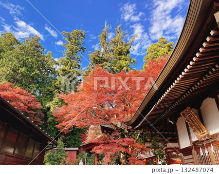 高尾山薬王院 秋の紅葉風景 132487074