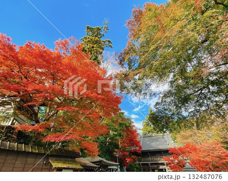 高尾山薬王院 秋の紅葉風景 132487076