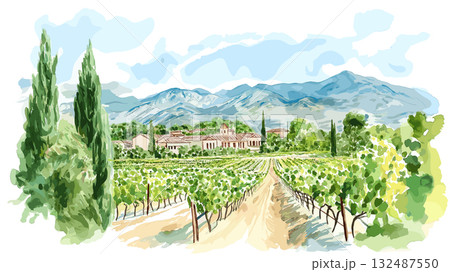 Mendoza Wine Region. Mendoza Wine Region hand drawn watercolor illustration 132487550