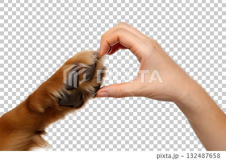 Human hand and dog paw forming heart shape, symbolizing friendship, love and the special bond between humans and their pets, isolated on transparent background 132487658