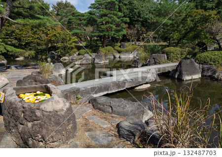 ぐんまフラワーパークプラス　テイエンエリア 132487703