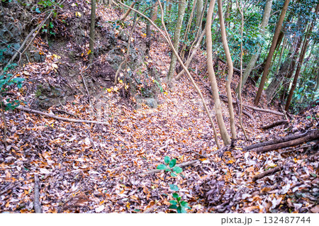 冬の金川城跡　北の丸北側の大堀切1　岡山県岡山市北区 132487744