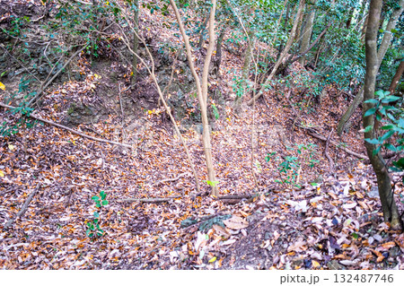 冬の金川城跡　北の丸北側の大堀切3　岡山県岡山市北区 132487746