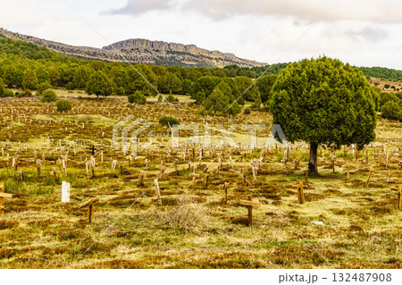 Sad Hill Cemetery in Spain. Tourist place 132487908