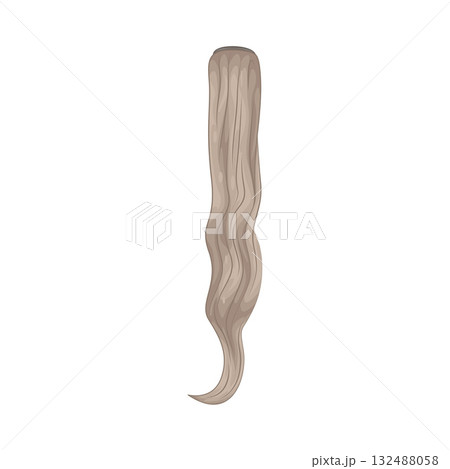 Illustration of hair extension Illustration of hair extension 132488058