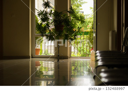 Waiting room with flower Waiting room with flower 132488997