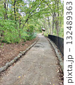 登山路（秩父ミューズパーク／埼玉県秩父市） 132489363