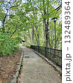 登山路（秩父ミューズパーク／埼玉県秩父市） 132489364