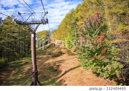 紅葉見頃な富士見パノラマリゾート（入笠山） 132489493