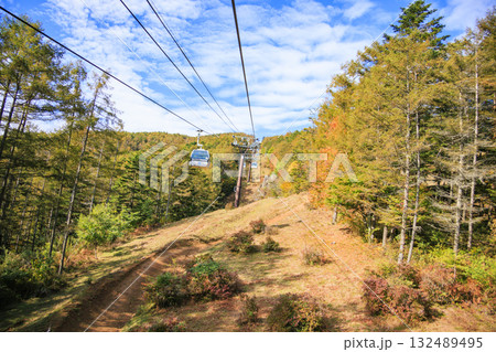 紅葉見頃な富士見パノラマリゾート（入笠山） 132489495