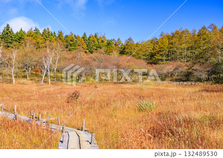 紅葉見頃な富士見パノラマリゾート（入笠山） 132489530