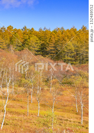 紅葉見頃な富士見パノラマリゾート（入笠山） 132489552