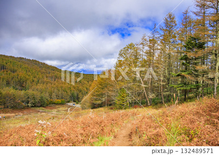紅葉見頃な富士見パノラマリゾート（入笠山） 132489571