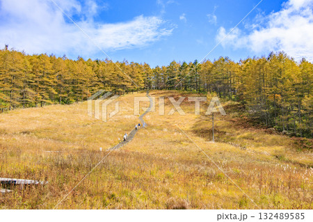 紅葉見頃な富士見パノラマリゾート（入笠山） 132489585