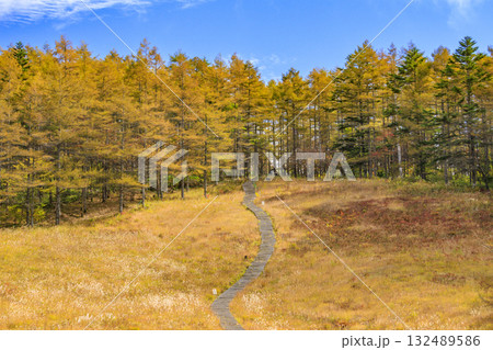 紅葉見頃な富士見パノラマリゾート(入笠山) 紅葉見頃な富士見パノラマリゾート(入笠山) 132489586