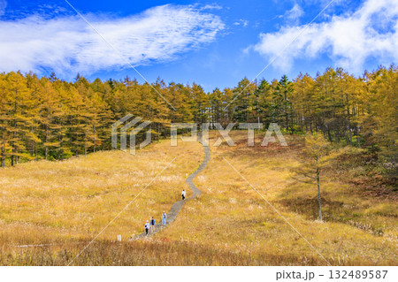 紅葉見頃な富士見パノラマリゾート（入笠山） 132489587
