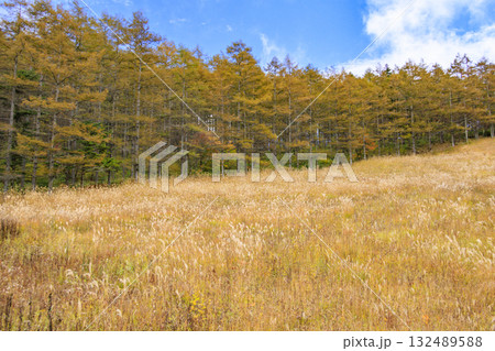 紅葉見頃な富士見パノラマリゾート(入笠山) 紅葉見頃な富士見パノラマリゾート(入笠山) 132489588