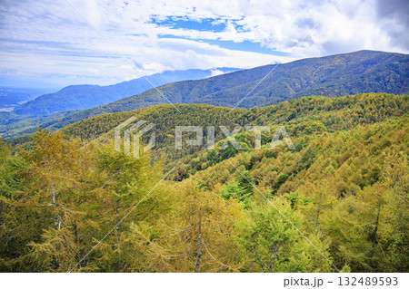 紅葉見頃な富士見パノラマリゾート（入笠山） 132489593