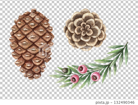 Set of yew branch and pine cones hand drawn in watercolor with sparkling pencil texture. Green leaves and pink berries create a festive botanical look. Perfect for Christmas card and other project. 132490346
