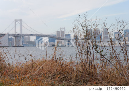 レインボーブリッジと枯草 132490462