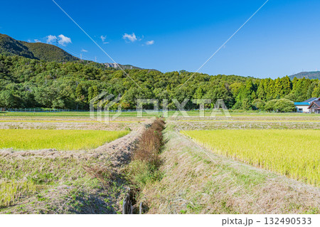 マキノ町ののどかな田園風景　滋賀県高島市 132490533