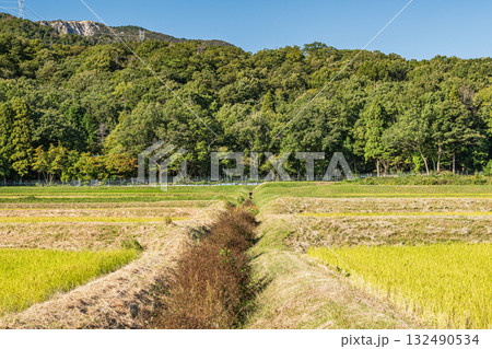 マキノ町ののどかな田園風景　滋賀県高島市 132490534