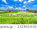 夏の多摩川緑地公園 鉄橋を渡る京急線と川崎方面の風景【神奈川県・川崎市】 夏の多摩川緑地公園 鉄橋を渡る京急線と川崎方面の風景【神奈川県・川崎市】 132491416