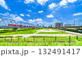 夏の多摩川緑地公園 鉄橋を渡る京急線と川崎方面の風景【神奈川県・川崎市】 夏の多摩川緑地公園 鉄橋を渡る京急線と川崎方面の風景【神奈川県・川崎市】 132491417