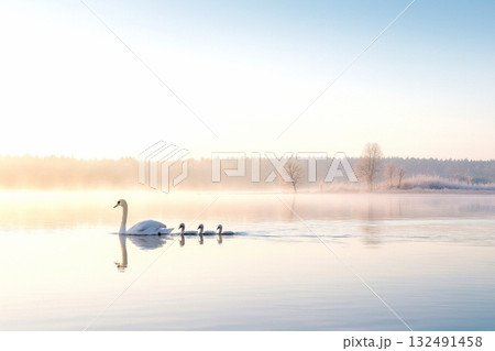 冬の湖に舞う白鳥たち 朝霧や柔らかな光に包まれた幻想的な冬景色 132491458
