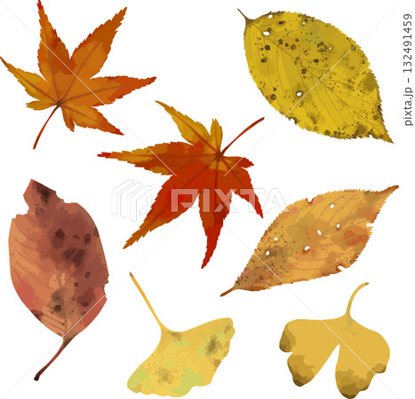 秋の落ち葉 紅葉 銀杏 秋の落ち葉 紅葉 銀杏 132491459